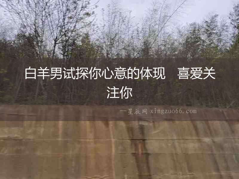 白羊男試探你心意的體現   喜愛關注你
