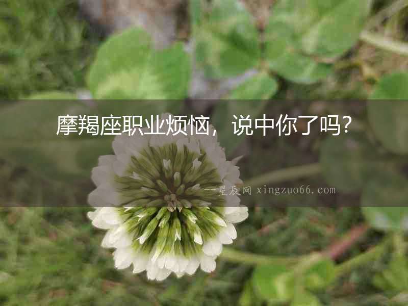 摩羯座職業(yè)煩惱，說(shuō)中你了嗎？