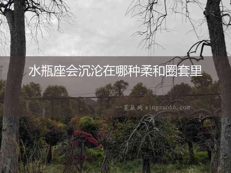 水瓶座會沉淪在哪種柔和圈套里