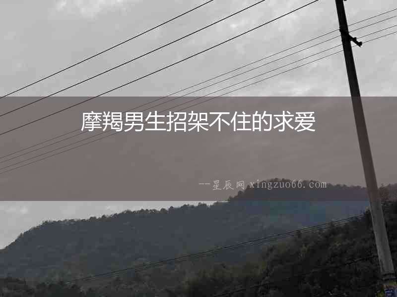 摩羯男生招架不住的求愛(ài)