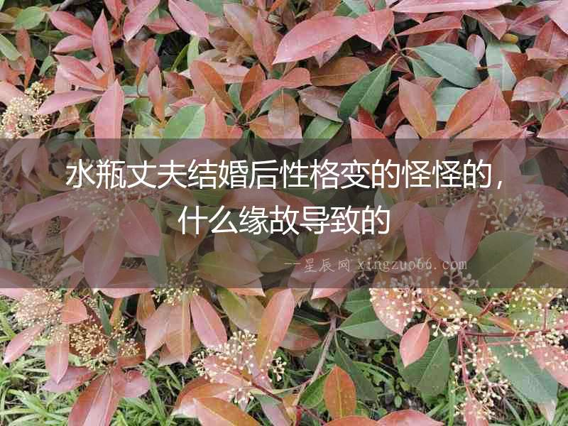 水瓶丈夫結(jié)婚后性格變的怪怪的，什么緣故導(dǎo)致的