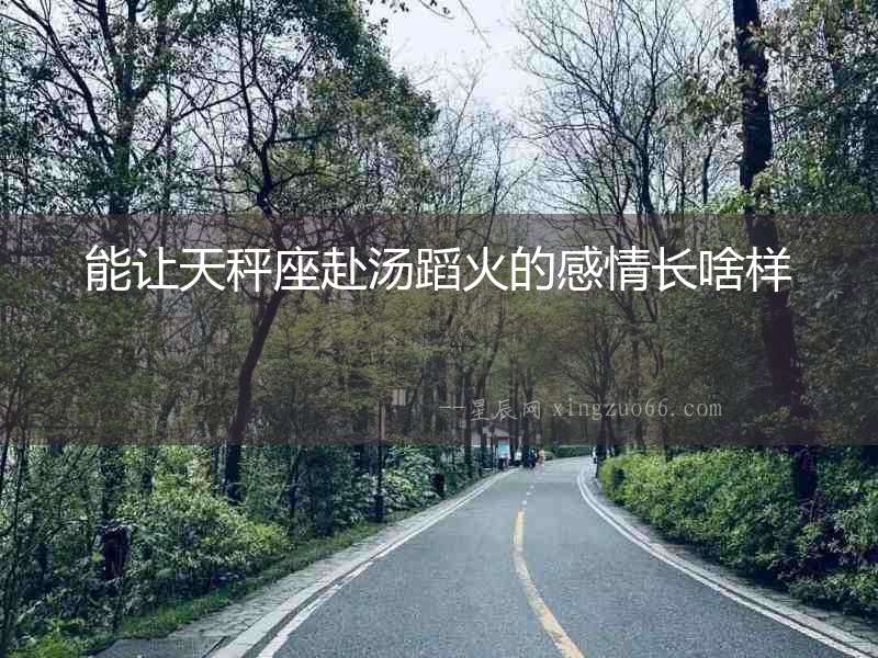 能讓天秤座赴湯蹈火的感情長啥樣