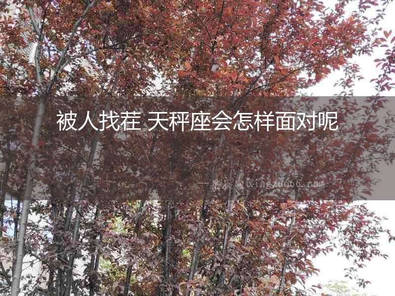 被人找茬 天秤座會怎樣面對呢