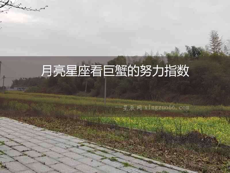 月亮星座看巨蟹的努力指數(shù)