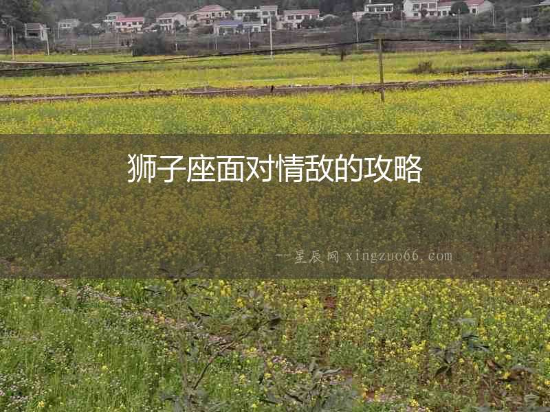 獅子座面對(duì)情敵的攻略