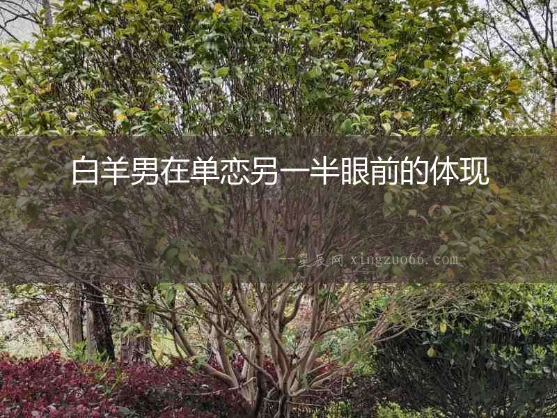 白羊男在單戀另一半眼前的體現(xiàn)
