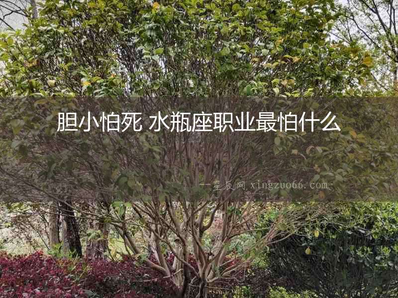 膽小怕死 水瓶座職業(yè)最怕什么