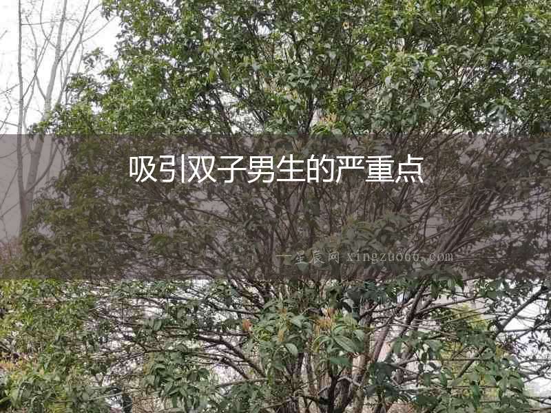 吸引雙子男生的嚴重點