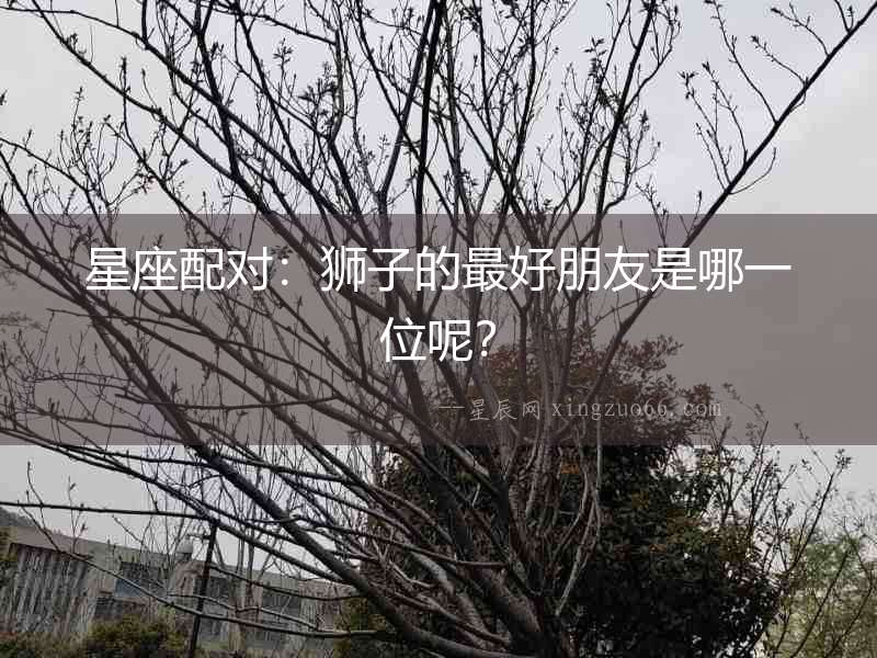 星座配對(duì)：獅子的最好朋友是哪一位呢？