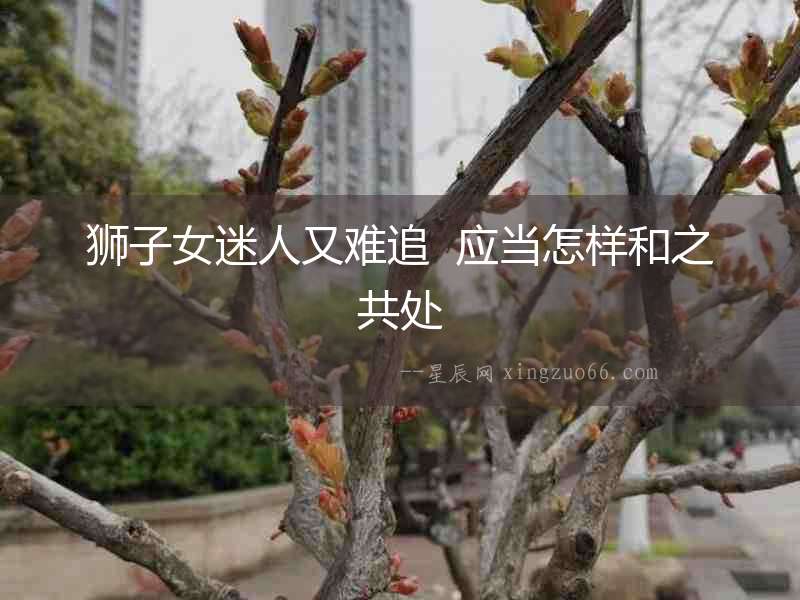 獅子女迷人又難追  應(yīng)當(dāng)怎樣和之共處