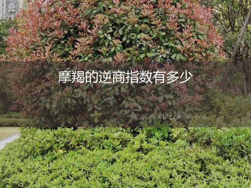 摩羯的逆商指數有多少
