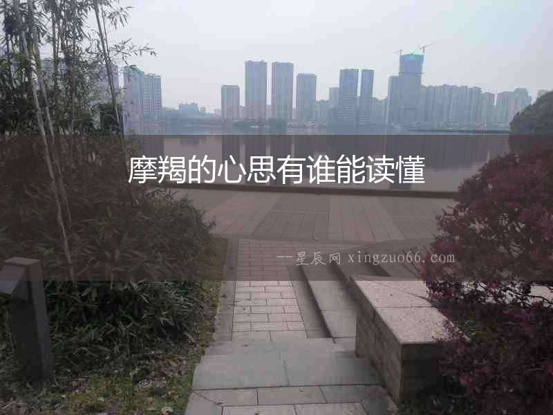 摩羯的心思有誰(shuí)能讀懂