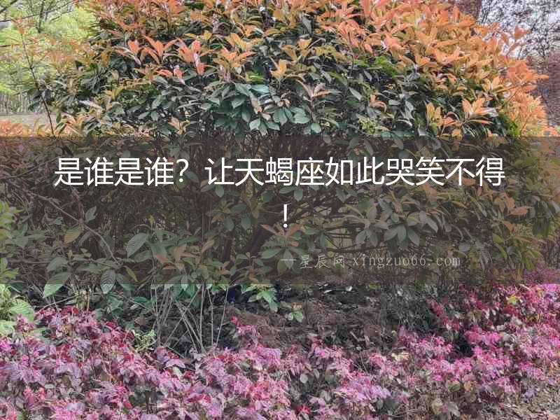 是誰是誰？讓天蝎座如此哭笑不得！