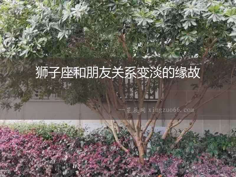獅子座和朋友關系變淡的緣故