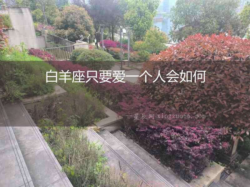 白羊座只要愛一個人會如何