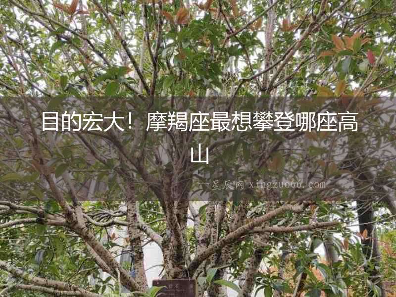 目的宏大！摩羯座最想攀登哪座高山