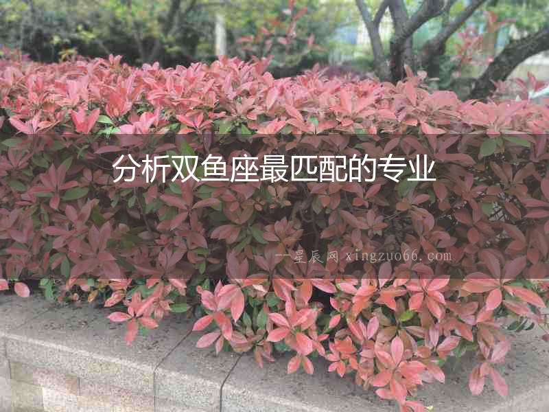 分析雙魚座最匹配的專業