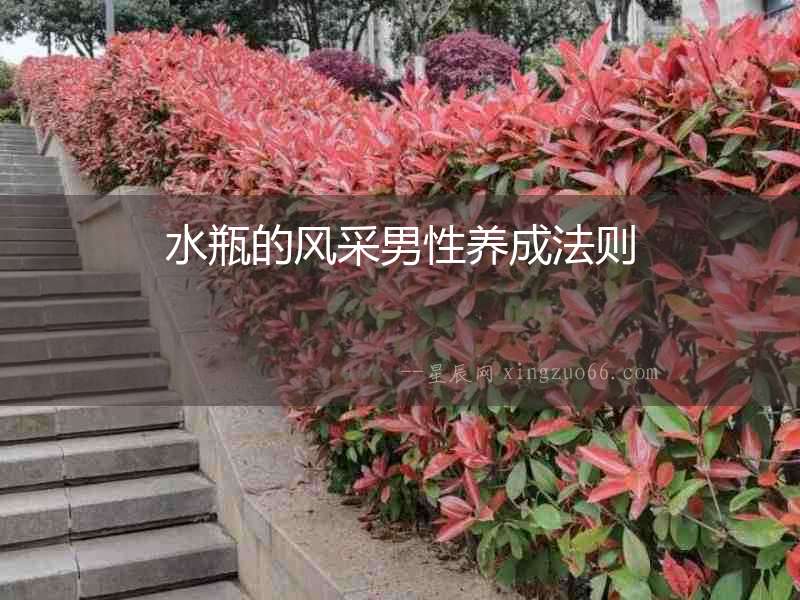 水瓶的風(fēng)采男性養(yǎng)成法則
