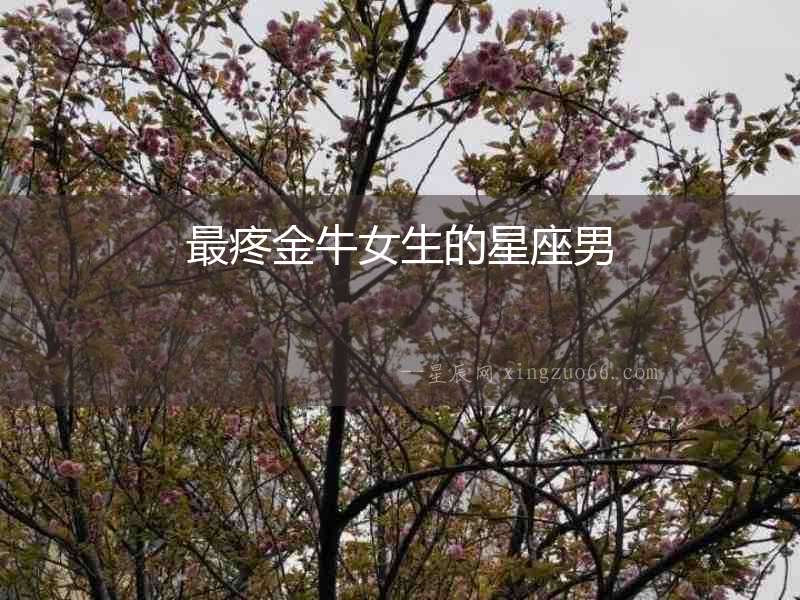 最疼金牛女生的星座男