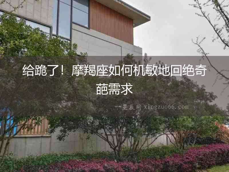 給跪了！摩羯座如何機敏地回絕奇葩需求