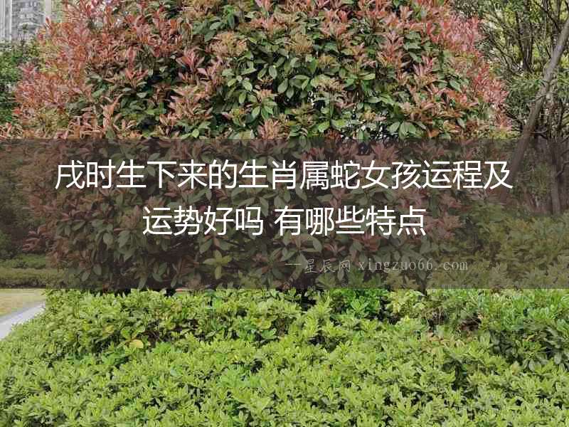 戌時(shí)生下來(lái)的生肖屬蛇女孩運(yùn)程及運(yùn)勢(shì)好嗎 有哪些特點(diǎn)