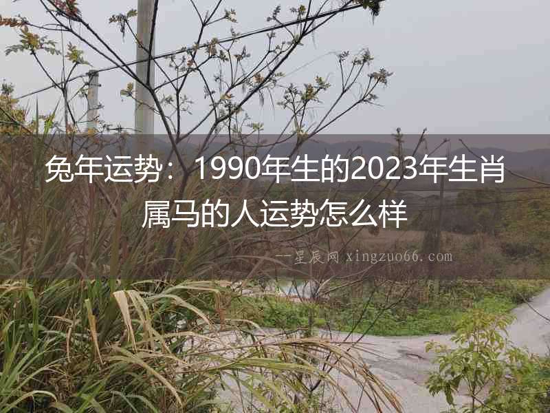 兔年運勢：1990年生的2023年生肖屬馬的人運勢怎么樣