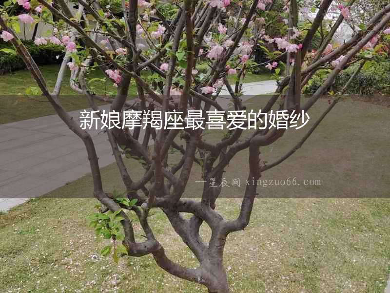 新娘摩羯座最喜愛的婚紗