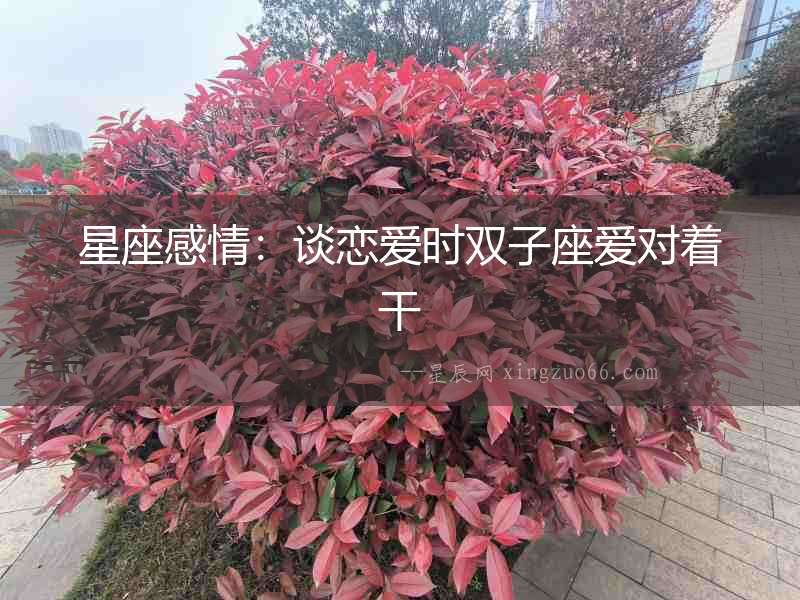 星座感情：談戀愛時雙子座愛對著干