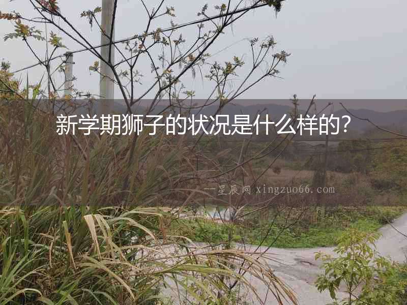 新學(xué)期獅子的狀況是什么樣的？