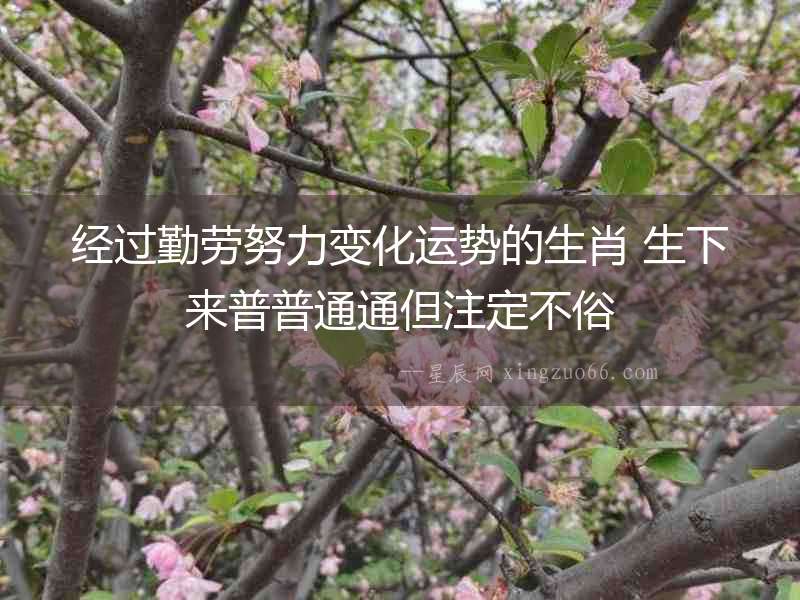 經(jīng)過勤勞努力變化運(yùn)勢的生肖 生下來普普通通但注定不俗