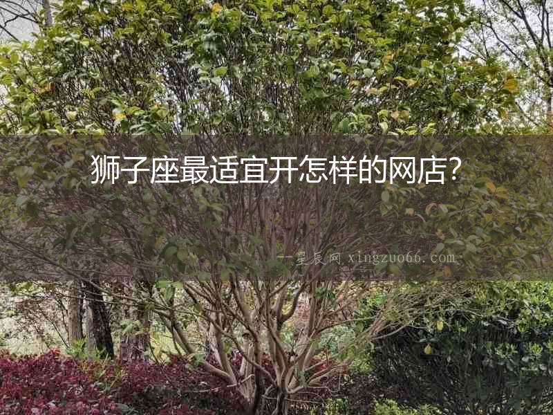 獅子座最適宜開怎樣的網(wǎng)店？