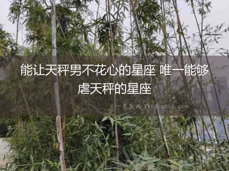 能讓天秤男不花心的星座 唯一能夠虐天秤的星座