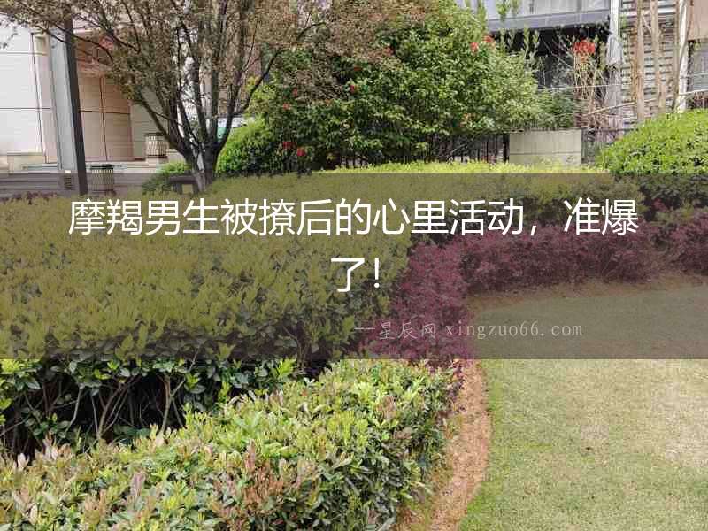 摩羯男生被撩后的心里活動，準爆了！