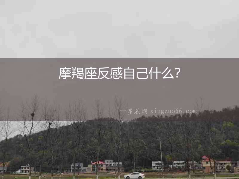 摩羯座反感自己什么？