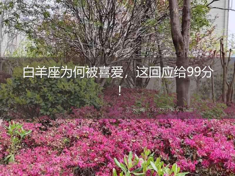 白羊座為何被喜愛，這回應(yīng)給99分！