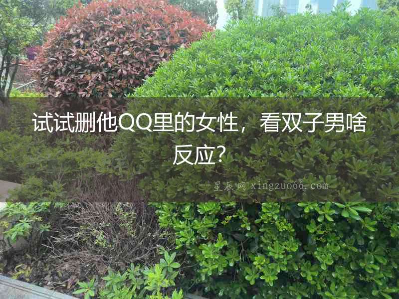 試試刪他QQ里的女性，看雙子男啥反應？