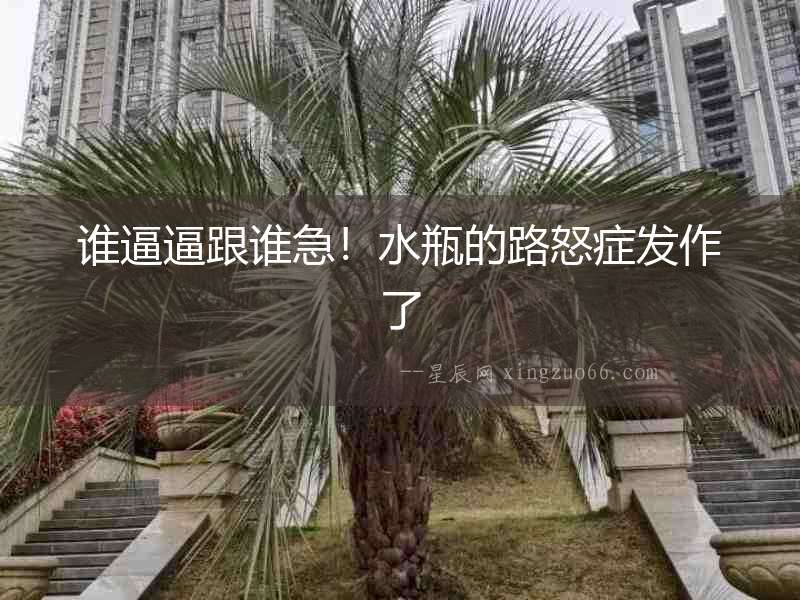 誰逼逼跟誰急！水瓶的路怒癥發(fā)作了