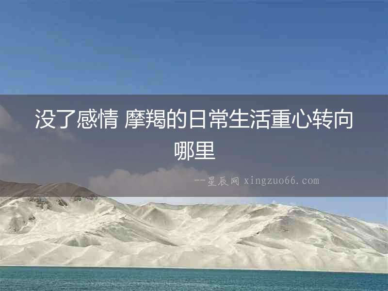 沒了感情 摩羯的日常生活重心轉(zhuǎn)向哪里
