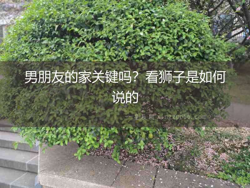 男朋友的家關鍵嗎？看獅子是如何說的