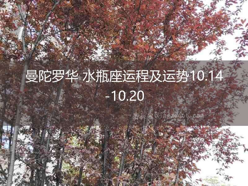 曼陀羅華 水瓶座運(yùn)程及運(yùn)勢(shì)10.14-10.20