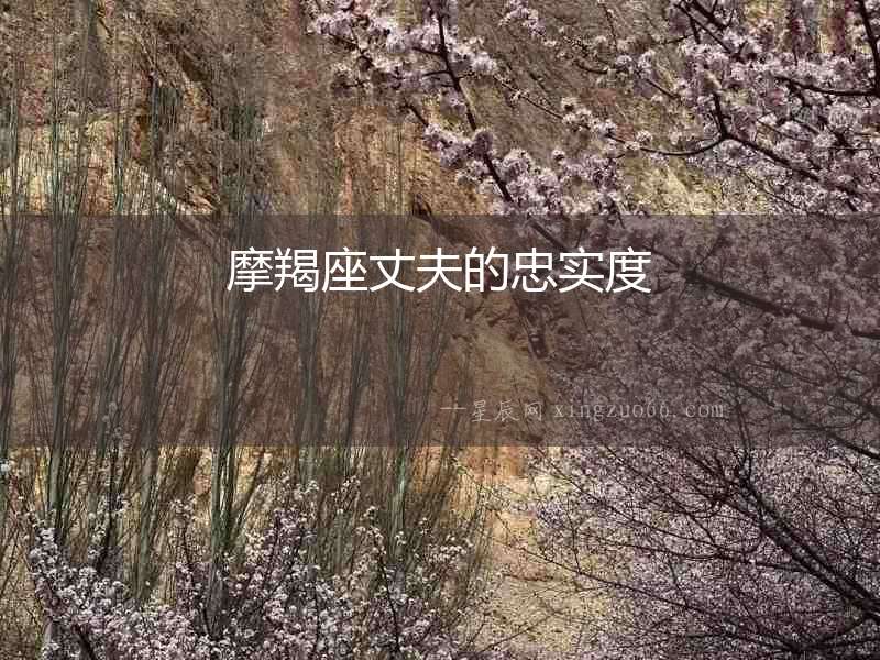 摩羯座丈夫的忠實(shí)度
