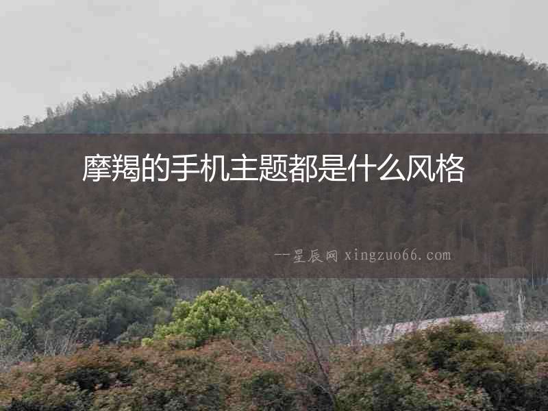 摩羯的手機(jī)主題都是什么風(fēng)格