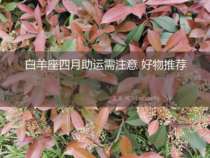 白羊座四月助運需注意 好物推薦