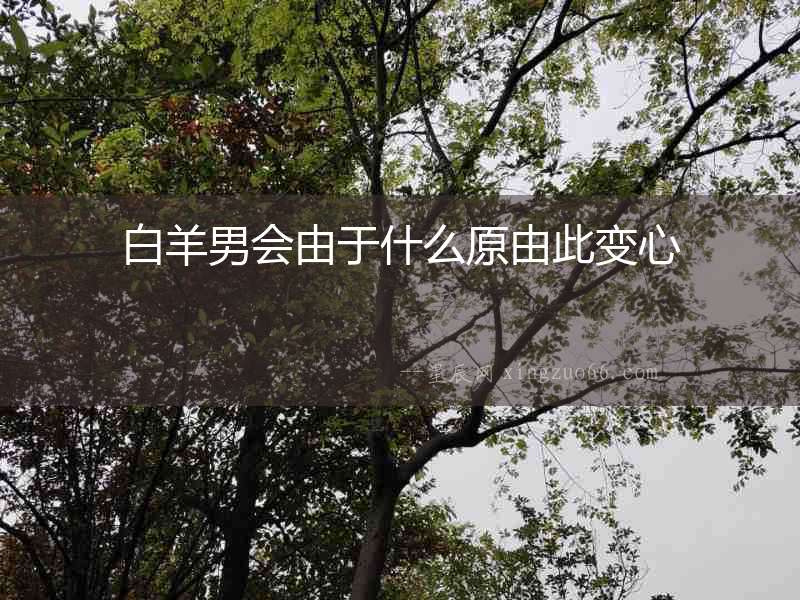 白羊男會由于什么原由此變心