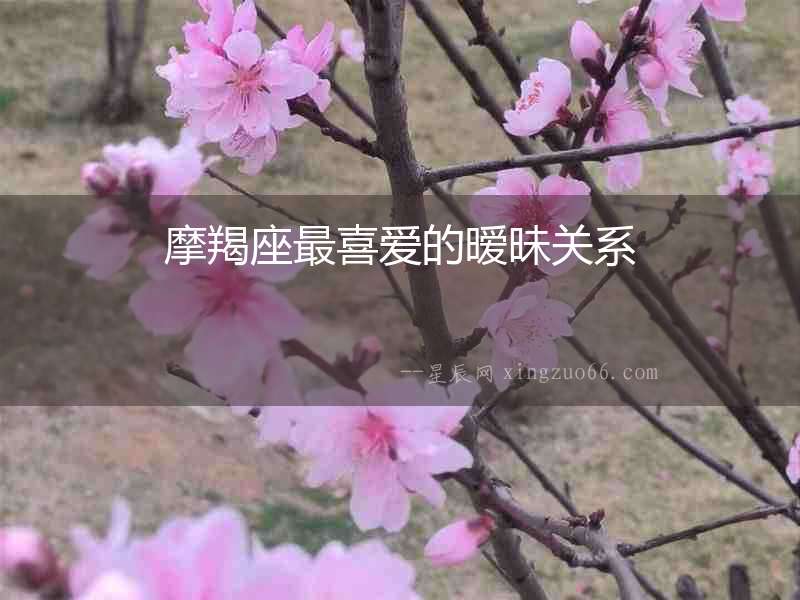 摩羯座最喜愛的曖昧關系
