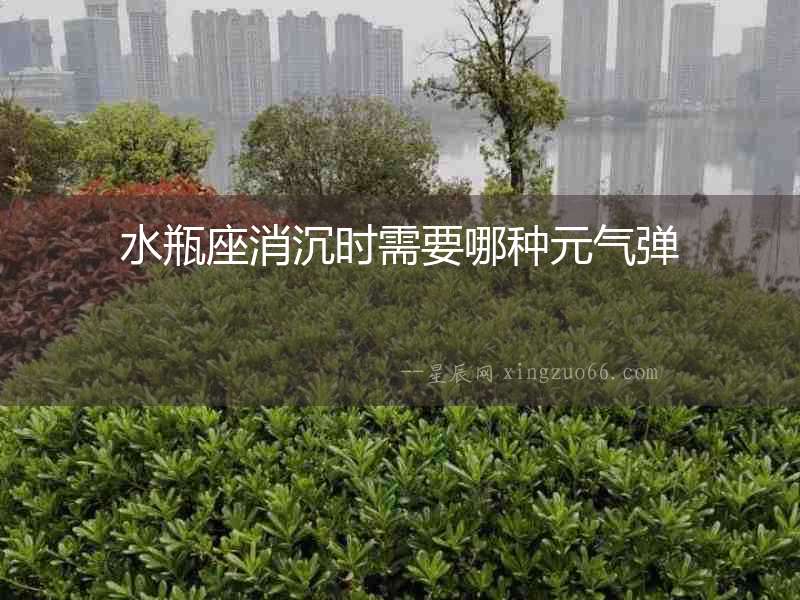 水瓶座消沉?xí)r需要哪種元氣彈