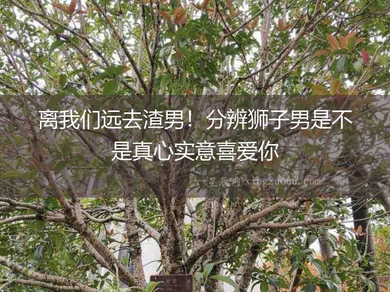 離我們遠(yuǎn)去渣男！分辨獅子男是不是真心實(shí)意喜愛你