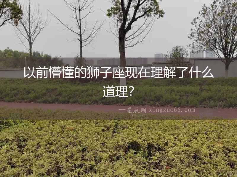 以前懵懂的獅子座現在理解了什么道理？