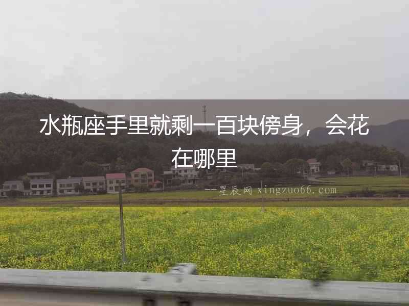 水瓶座手里就剩一百塊傍身，會花在哪里