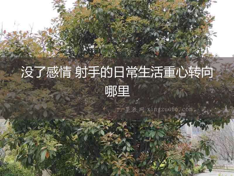 沒了感情 射手的日常生活重心轉(zhuǎn)向哪里